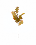 Everlasting Oak Leaf Steam
