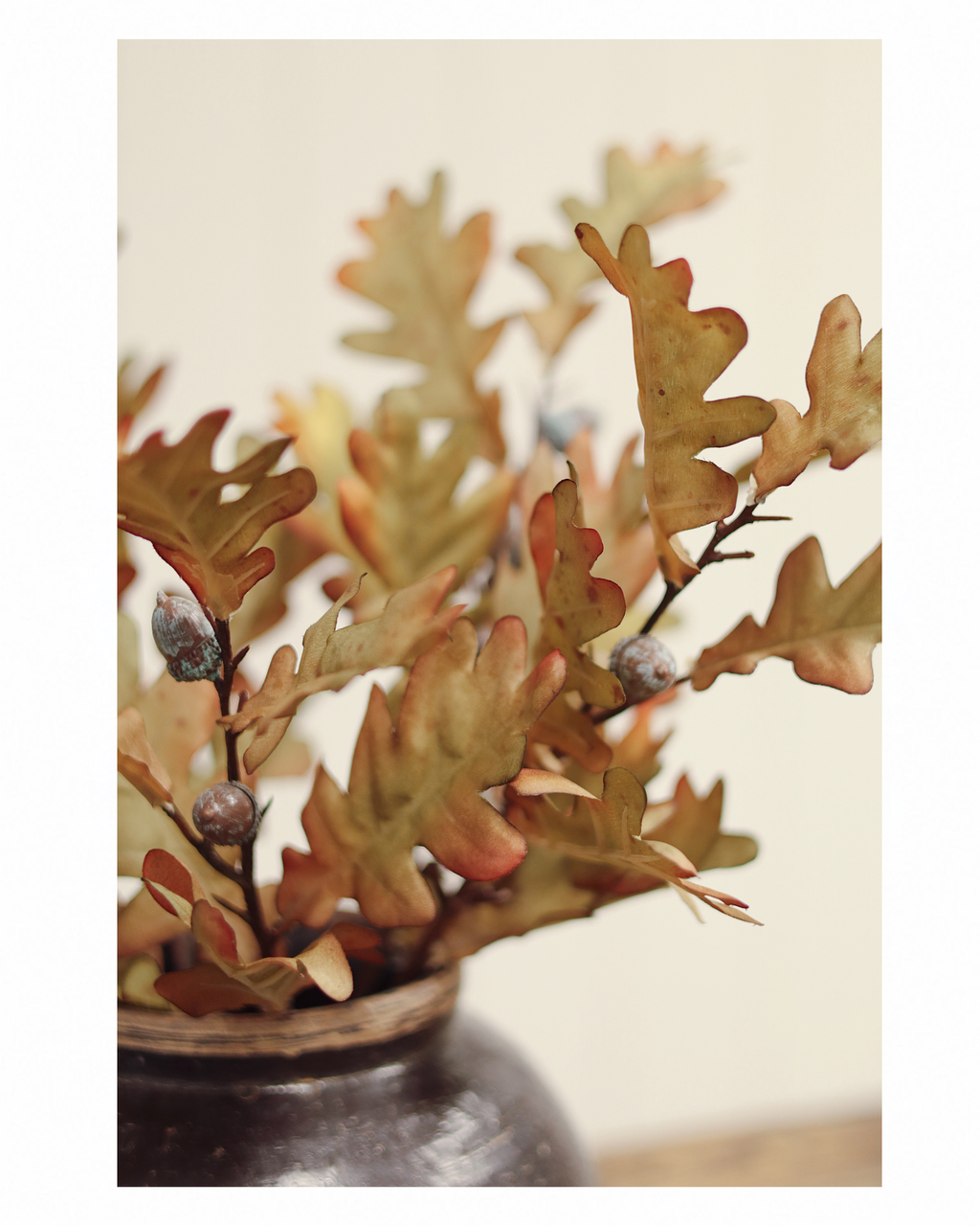 Everlasting Oak Leaf Steam