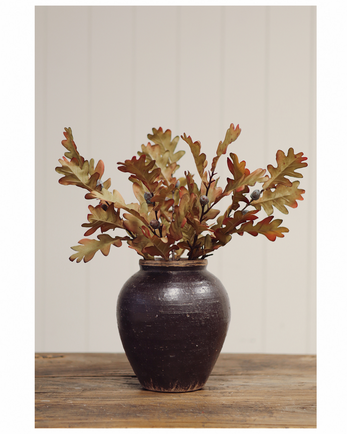 Everlasting Oak Leaf Steam