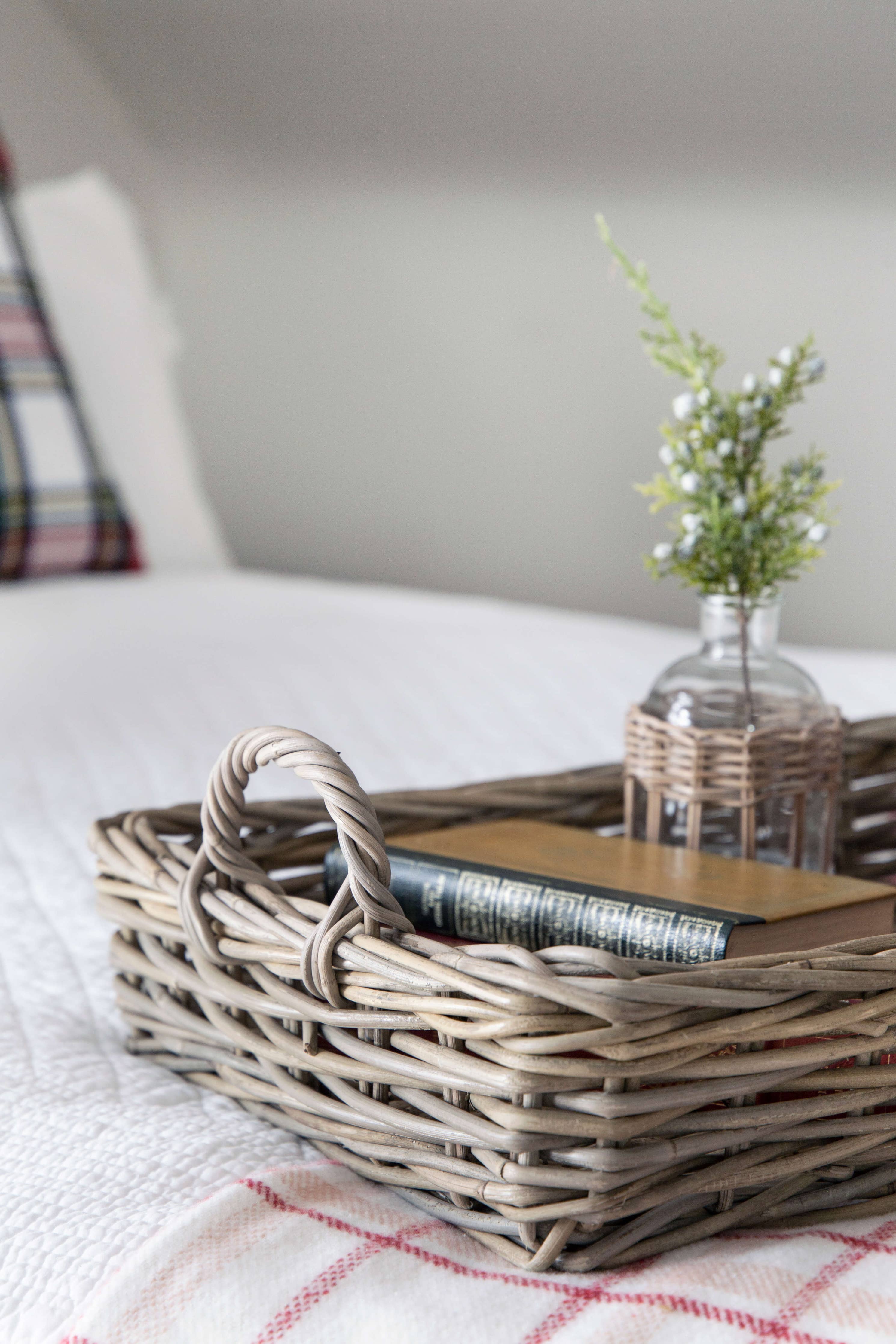 Shoreside Rattan Trays